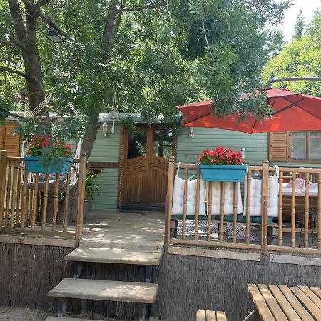 Pensjonat Roulotte En Bois Sud France Le Soler Zewnętrze zdjęcie