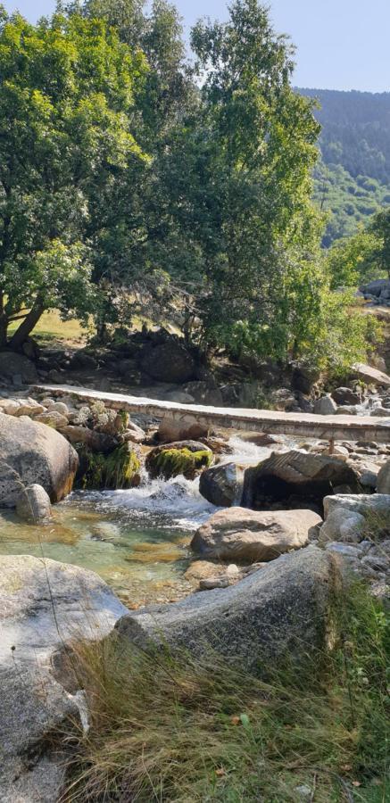 Pensjonat Roulotte En Bois Sud France Le Soler Zewnętrze zdjęcie