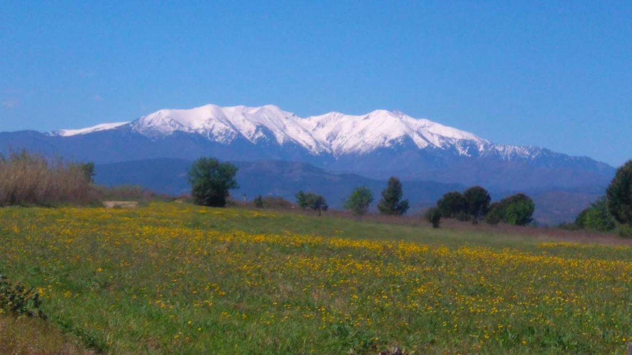 Pensjonat Roulotte En Bois Sud France Le Soler Zewnętrze zdjęcie