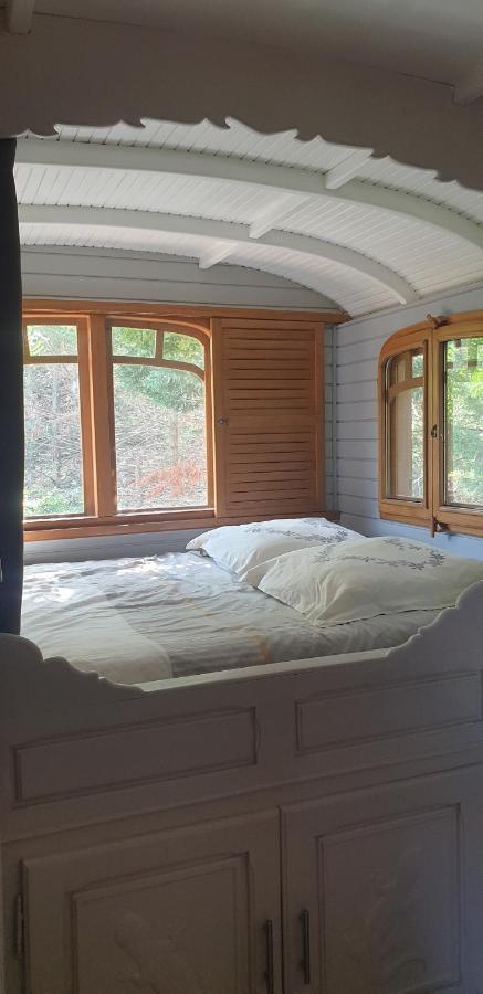 Pensjonat Roulotte En Bois Sud France Le Soler Zewnętrze zdjęcie