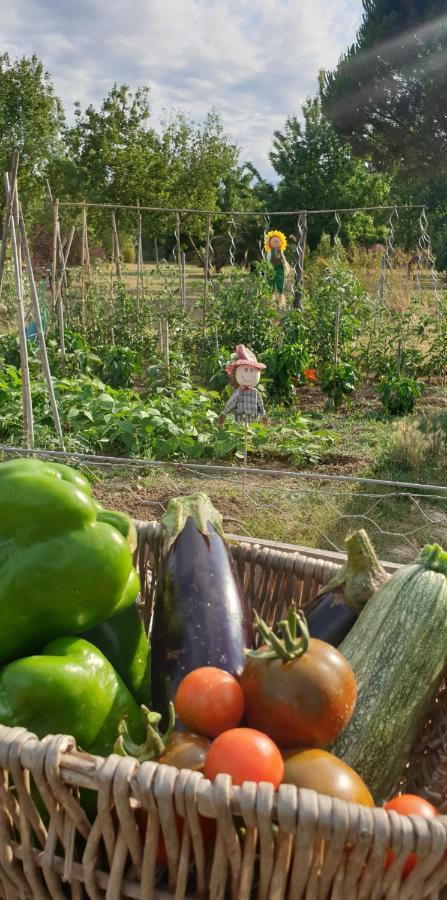 Pensjonat Roulotte En Bois Sud France Le Soler Zewnętrze zdjęcie