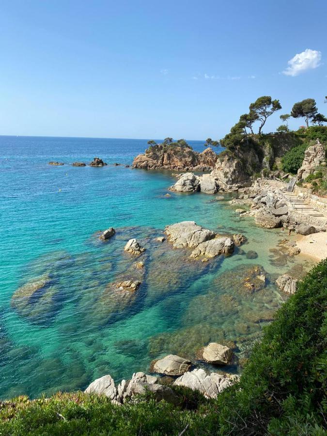 Pensjonat Roulotte En Bois Sud France Le Soler Zewnętrze zdjęcie