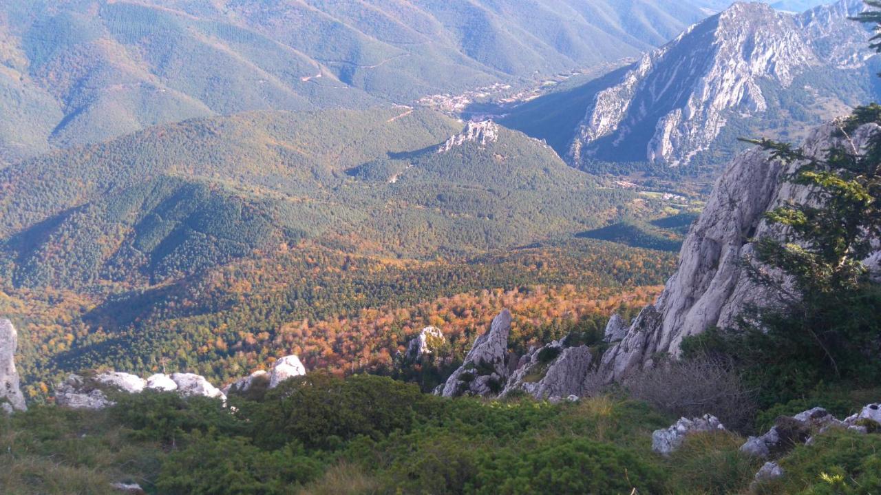 Pensjonat Roulotte En Bois Sud France Le Soler Zewnętrze zdjęcie