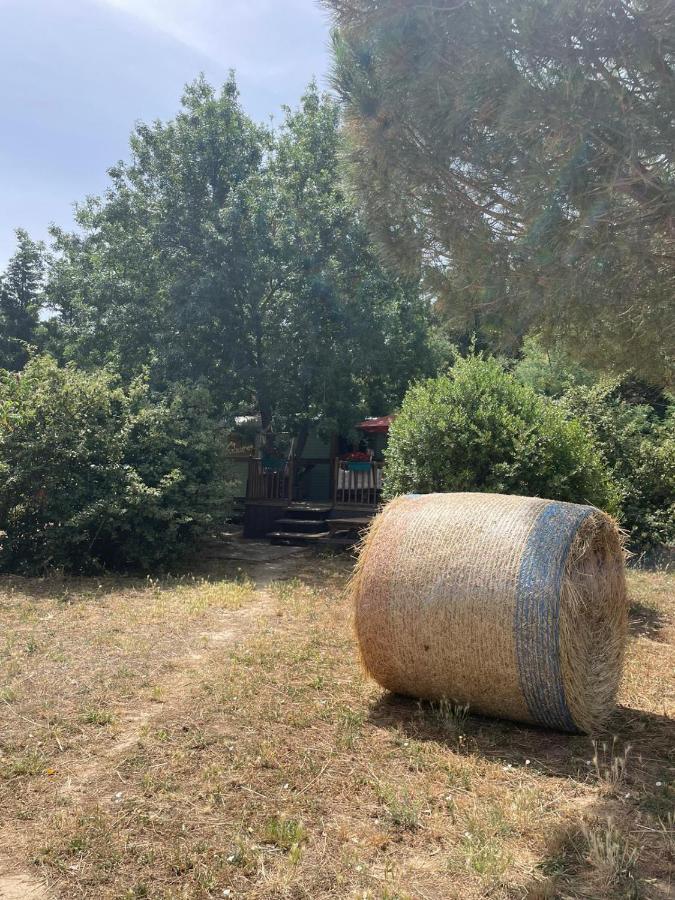Pensjonat Roulotte En Bois Sud France Le Soler Zewnętrze zdjęcie
