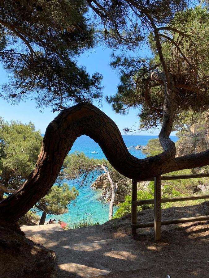 Pensjonat Roulotte En Bois Sud France Le Soler Zewnętrze zdjęcie