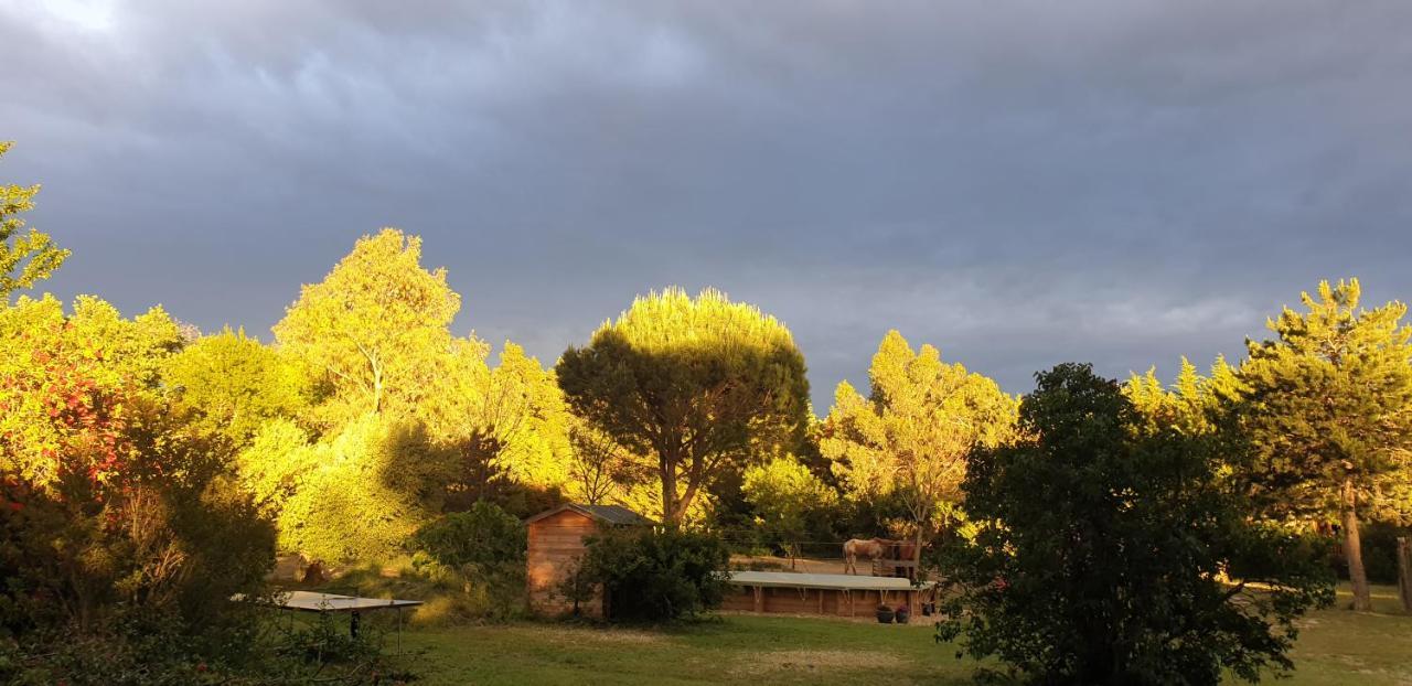 Pensjonat Roulotte En Bois Sud France Le Soler Zewnętrze zdjęcie