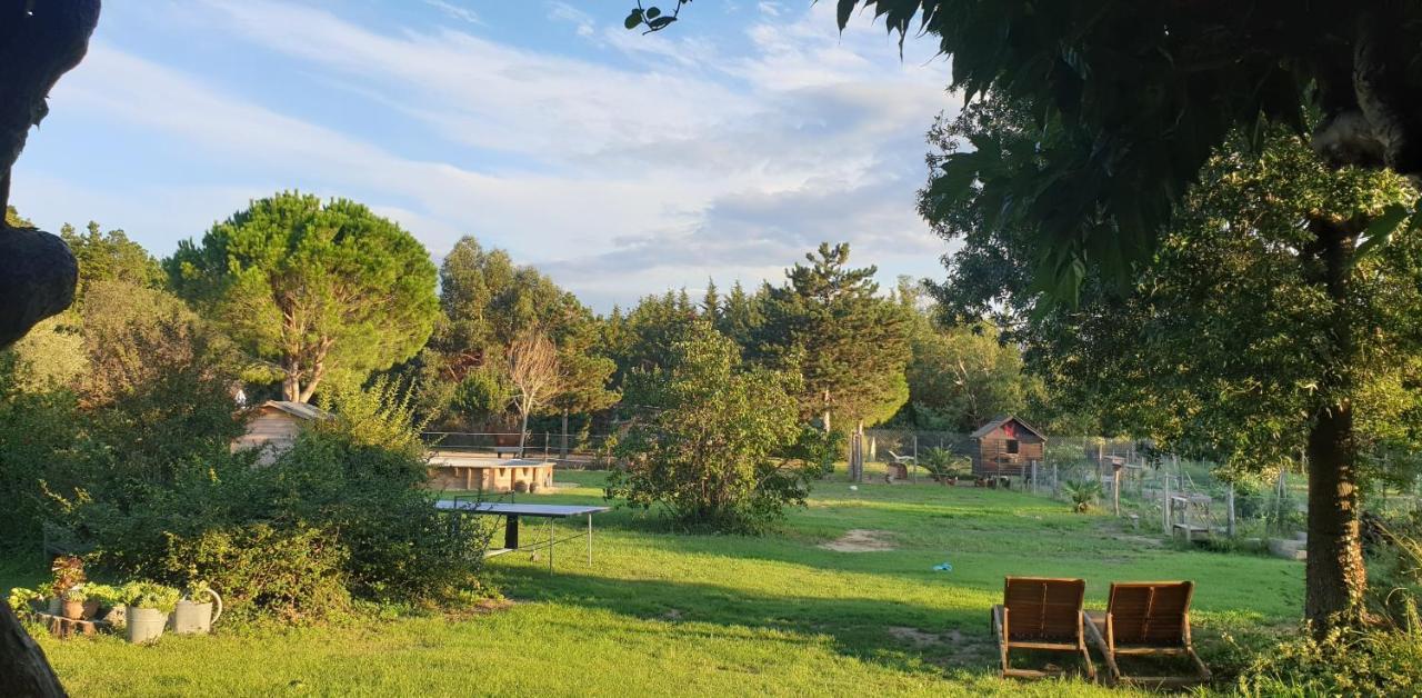 Pensjonat Roulotte En Bois Sud France Le Soler Zewnętrze zdjęcie