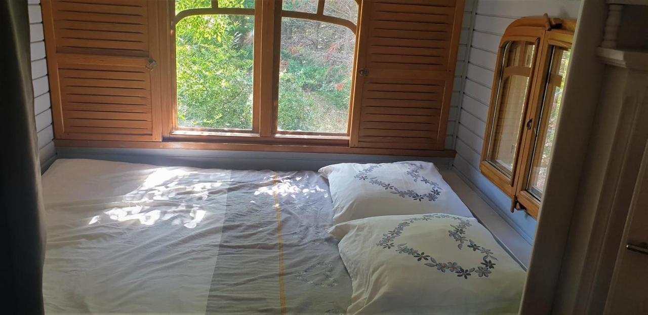Pensjonat Roulotte En Bois Sud France Le Soler Zewnętrze zdjęcie